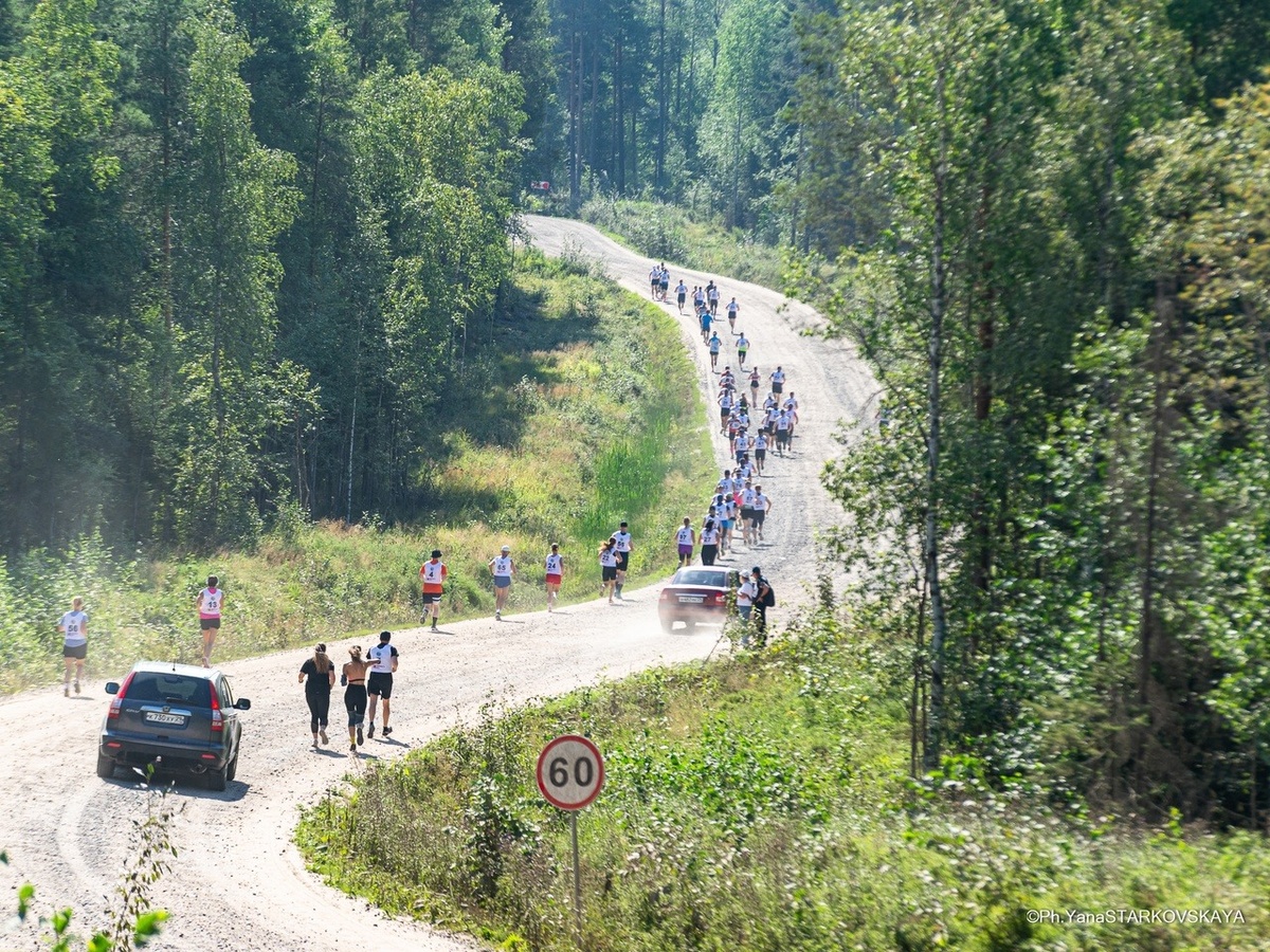 фото с трассы пробега, о котором пойдёт речь в статье