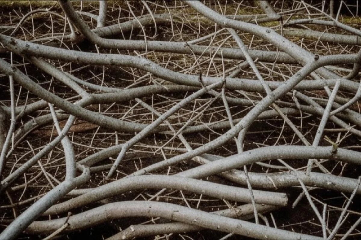    В Уфе ограничат движение на улице Менделеева