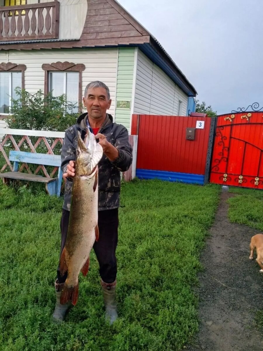     Источник: Азата Гумеров