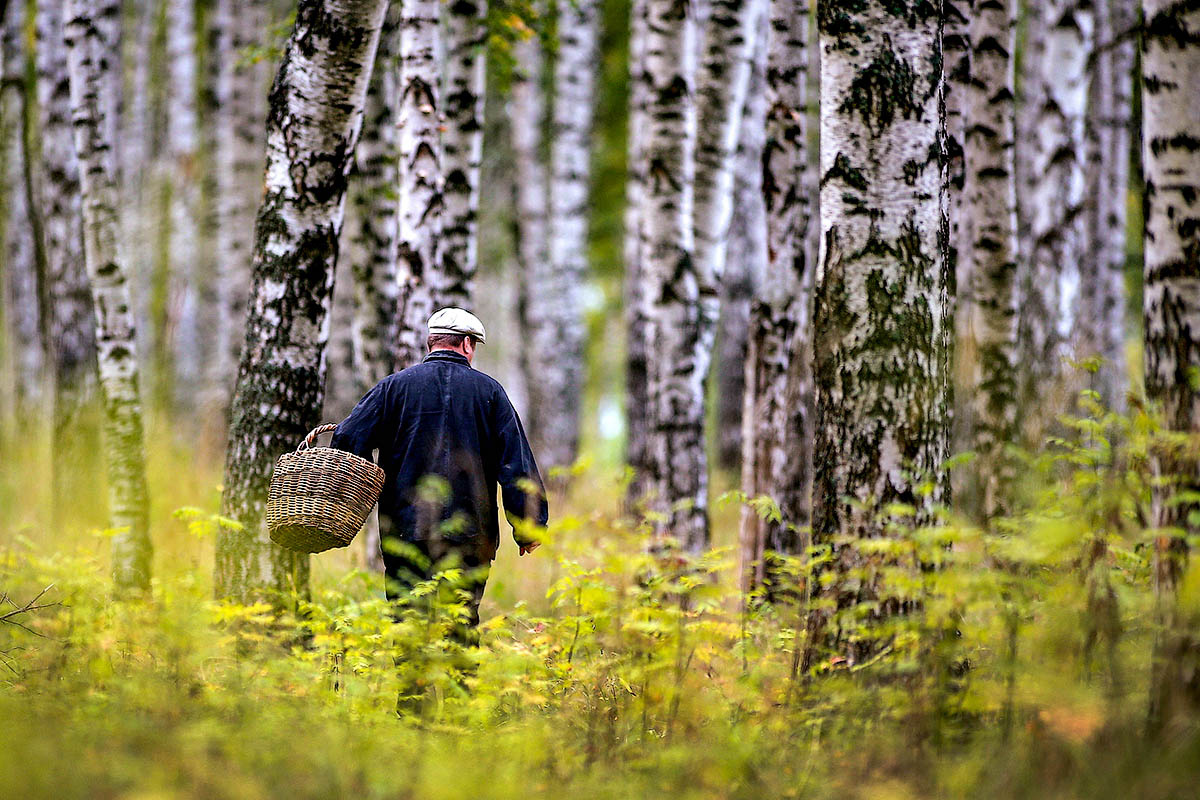 Фото: zvencity.ru