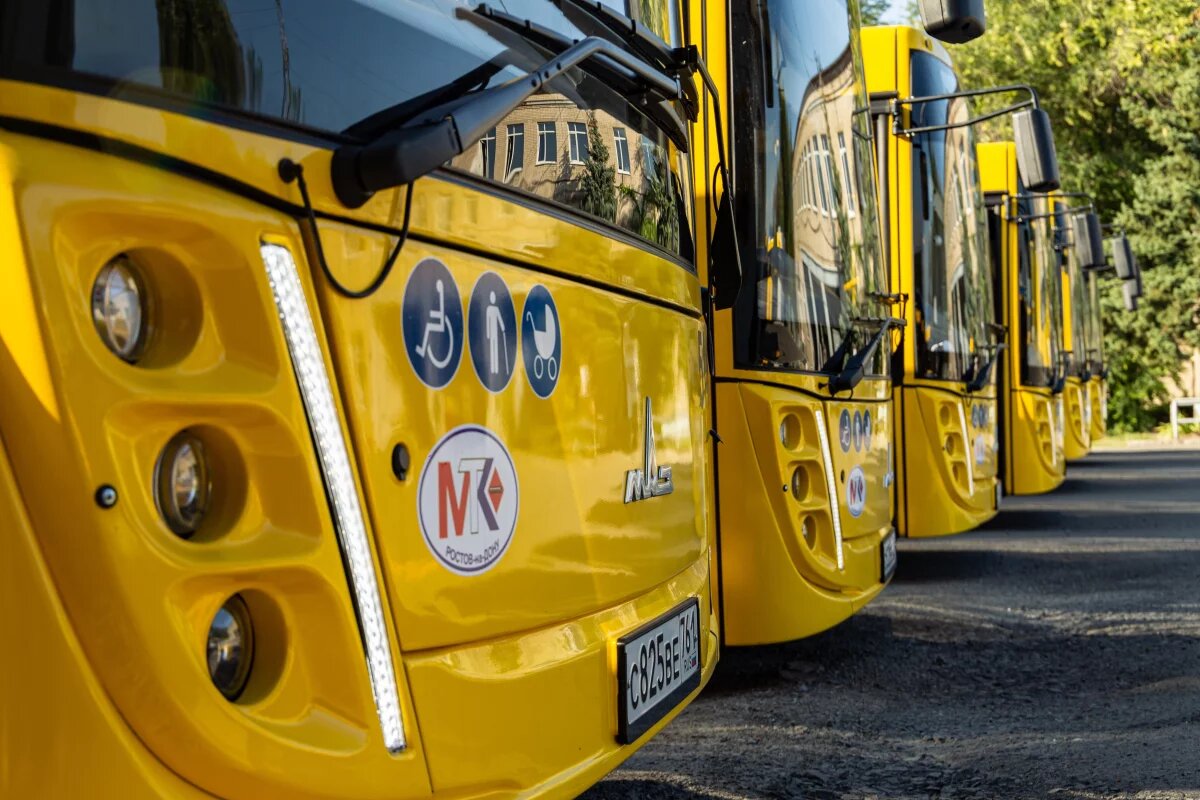    Осенью в Ростове снова увеличат плановое количество транспорта