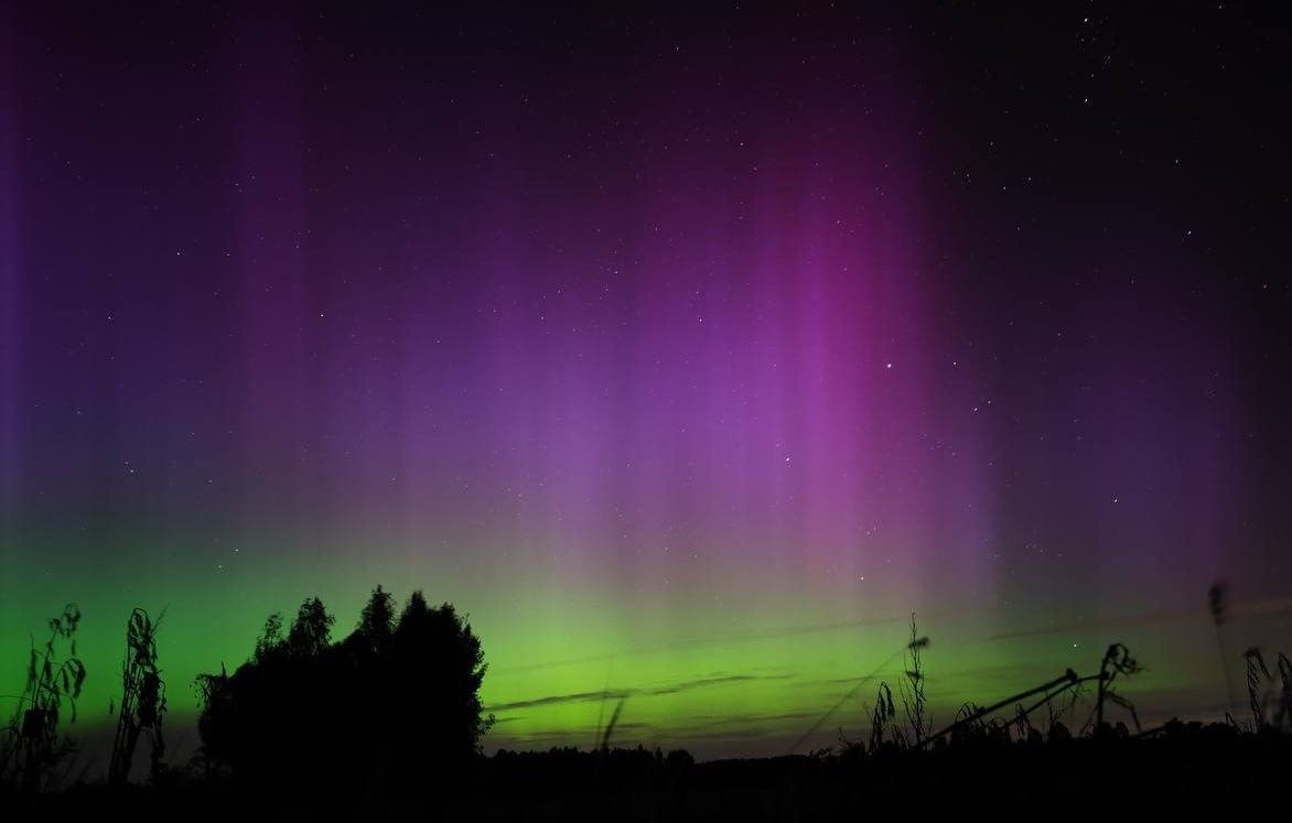 Источник: https://t.me/news_sirena/31138