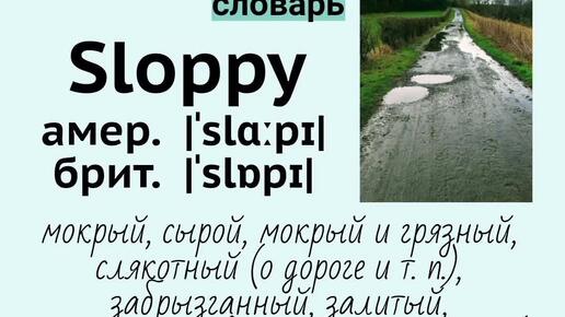 Picture dictionary/визуальный словарь👉sloppy