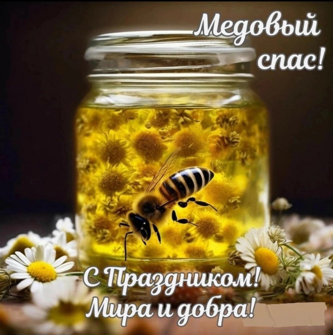 Изображение из интернет в свободном доступе 