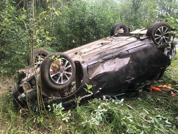    В Кирово-Чепецком районе LADA улетела в кусты