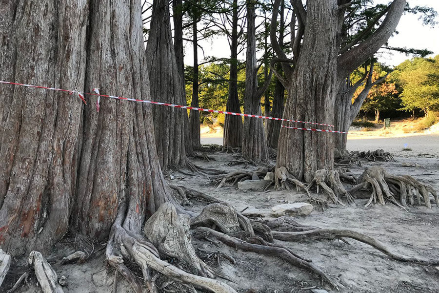 Фото «Кубань 24»