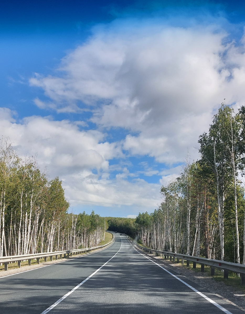 Сквозь лобовое стекло😍