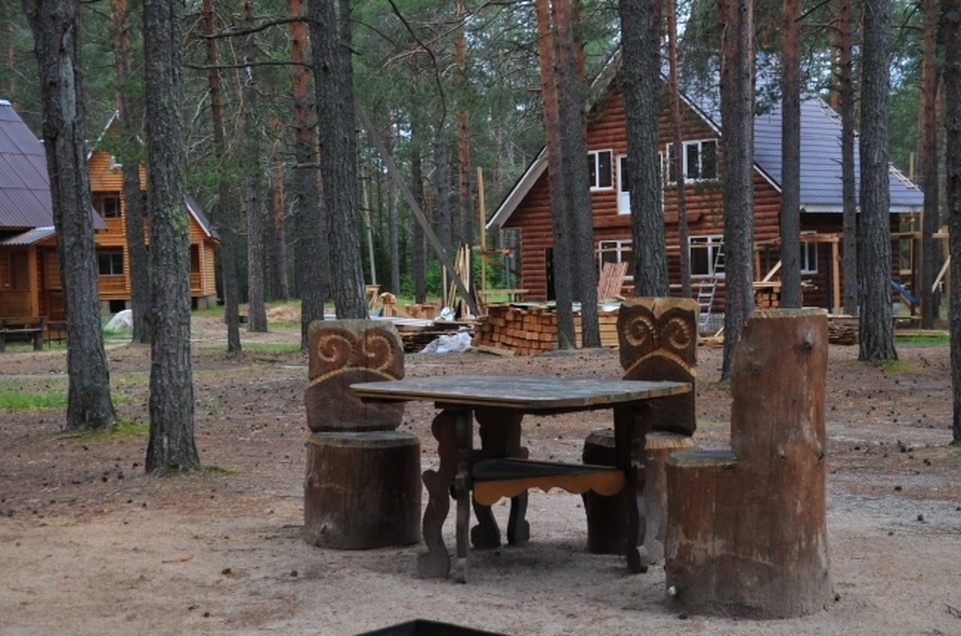    Жительница Ульяновска оплатила отдых на турбазе, но вместо турбазы на месте оказался лес. Фото архив КП