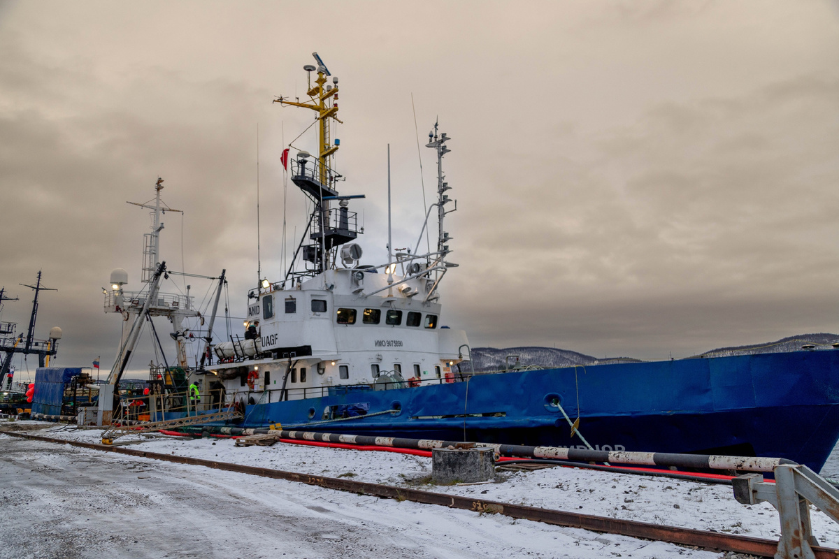 Фото: Екатерина Громова