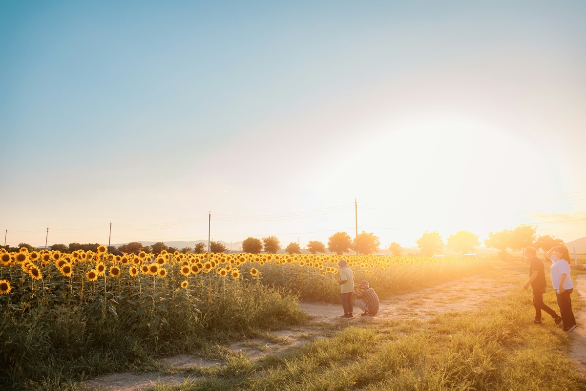Фото с бесплатного фотостока https://unsplash.com, автор Gaku Suyama