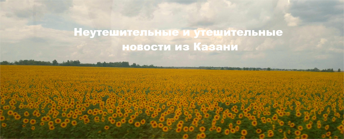 Лето контрастов