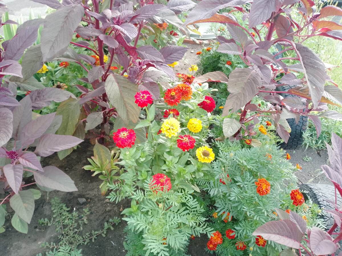 Красота близкой осени.