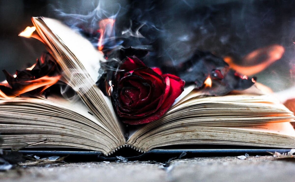     Сомнительная репутация: книги-бестселлеры, которые часто критикуют