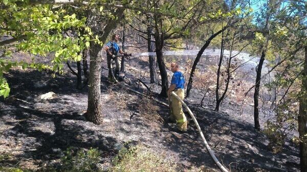    © ГУ МЧС России по Республике Крым