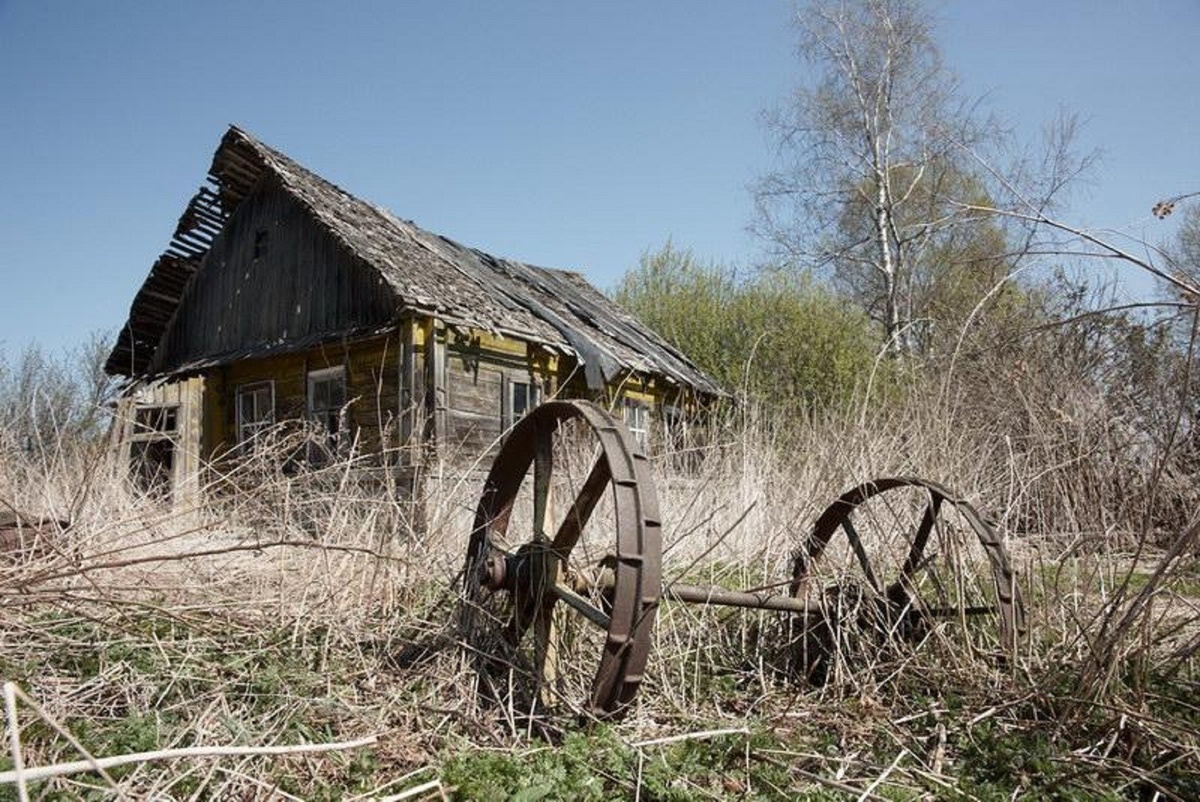 Фото из свободного источника