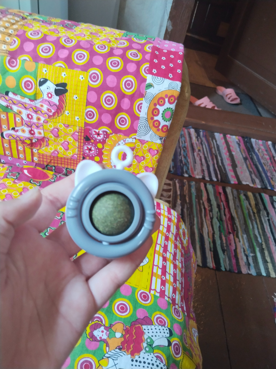 Кошачья мята бренда Kimpets ®. 