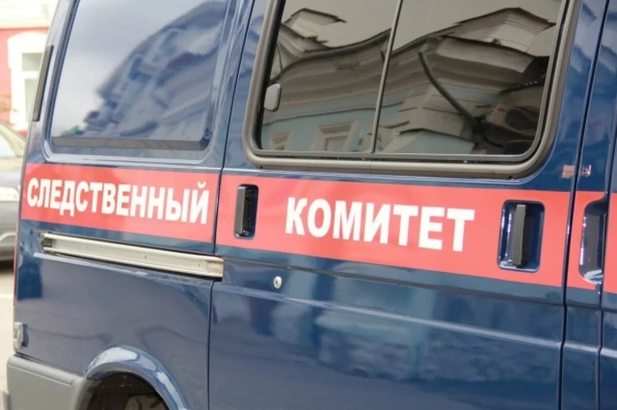    Следователи СК проверяют женщину, сопротивлявшуюся полиции на Матросова