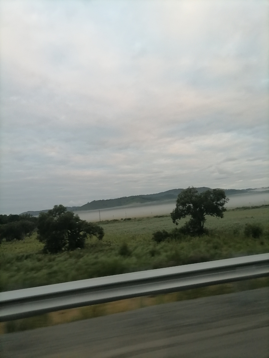 Полоска тумана на рассвете