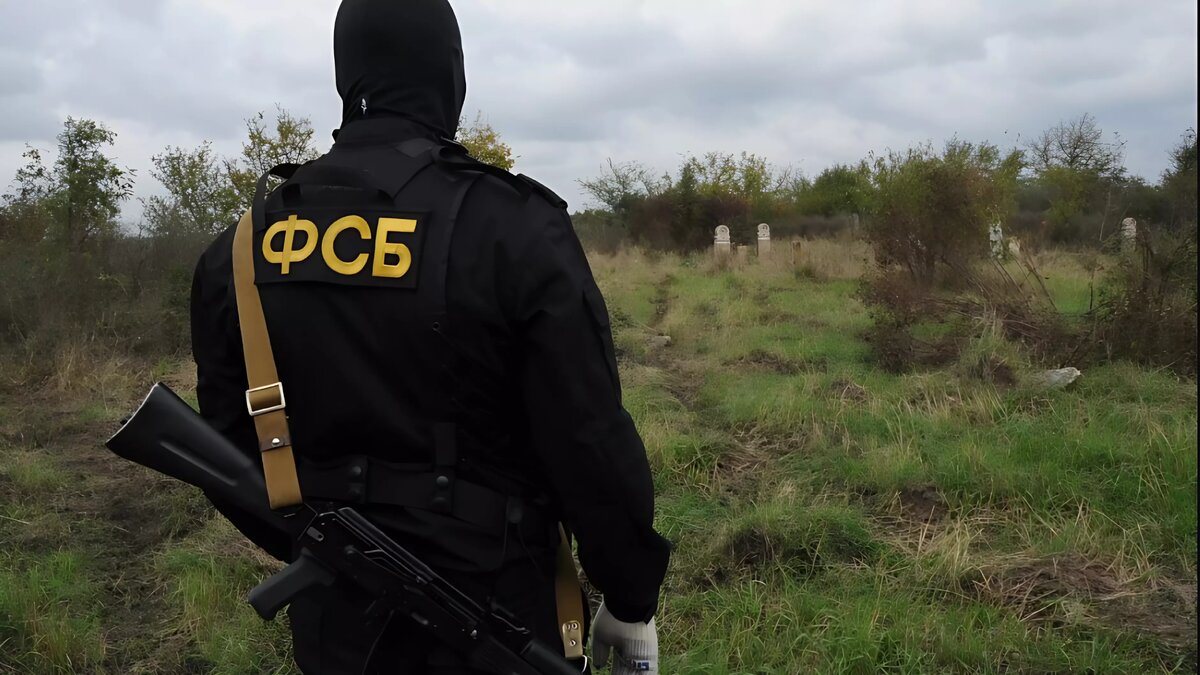     Автор: nac.gov.ru Источник: для иллюстрации