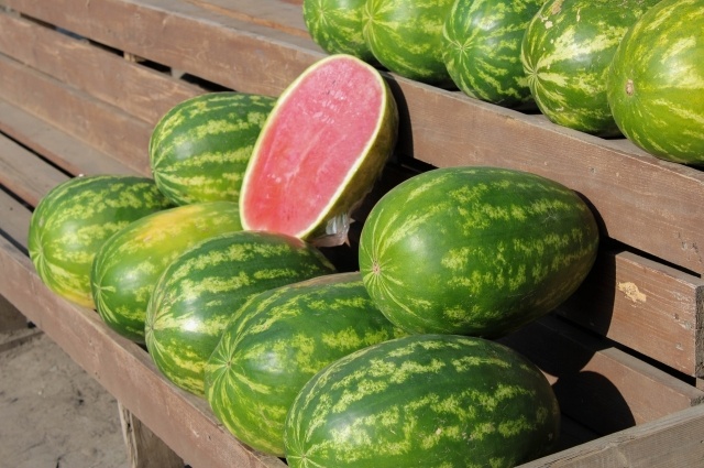    Фото:  АиФ/ Наталья Качановская