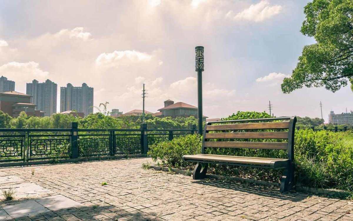    В Липецке проведут конкурс на самые благоустроенные территории мэрии Липецка