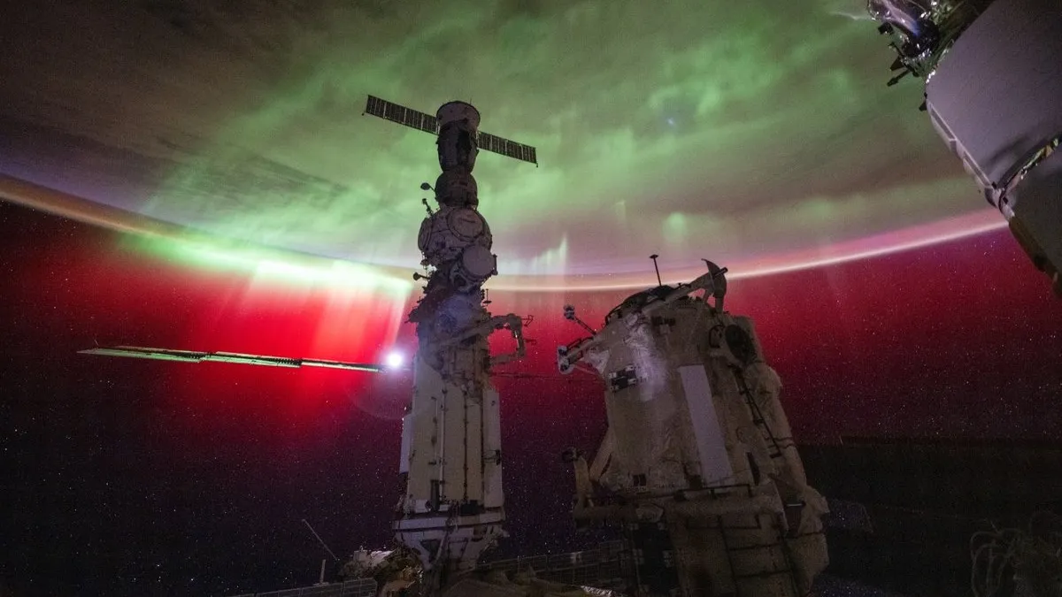 Иллюстрация: Matthew Dominick / NASA  📷
