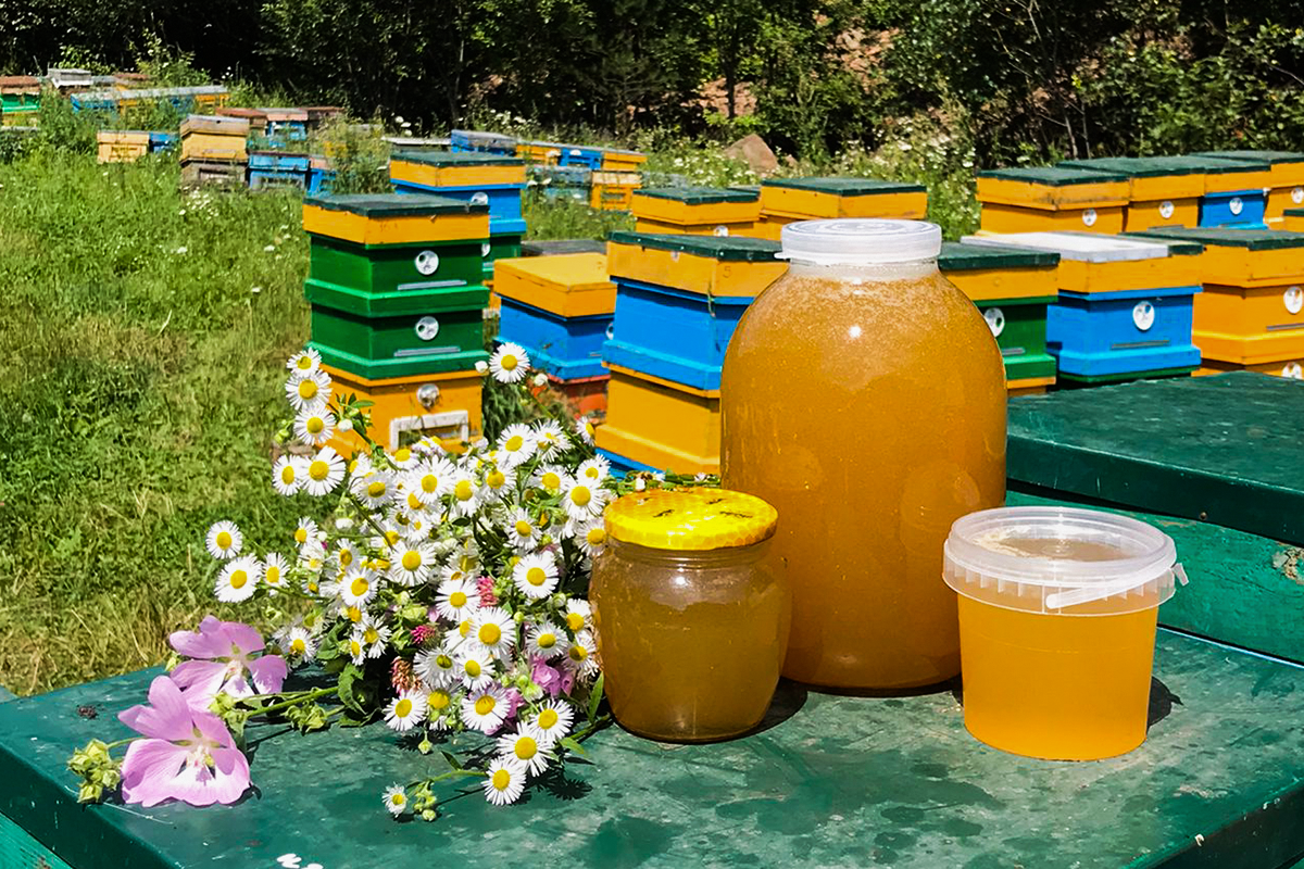 Фото: Ольга Савенко/ТАСС