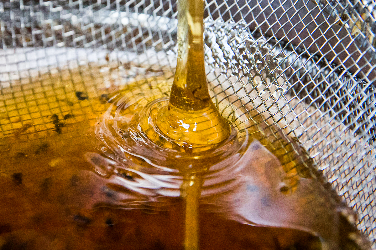 Фото: Сергей Мальгавко/ТАСС