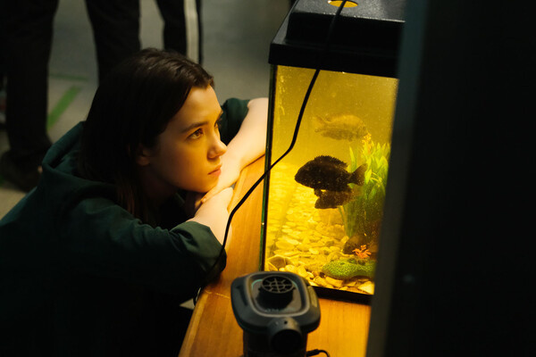    Кадр из сериала «Пока не родила» (2024) / Пресс-служба ТНТ