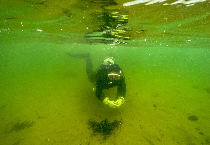    Axel Heimken/dpa/Global Look Press