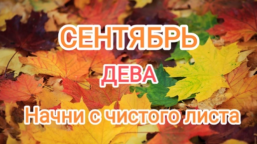 ДЕВА🍁 СЕНТЯБРЬ 2024🍁 Тароскоп 🍁