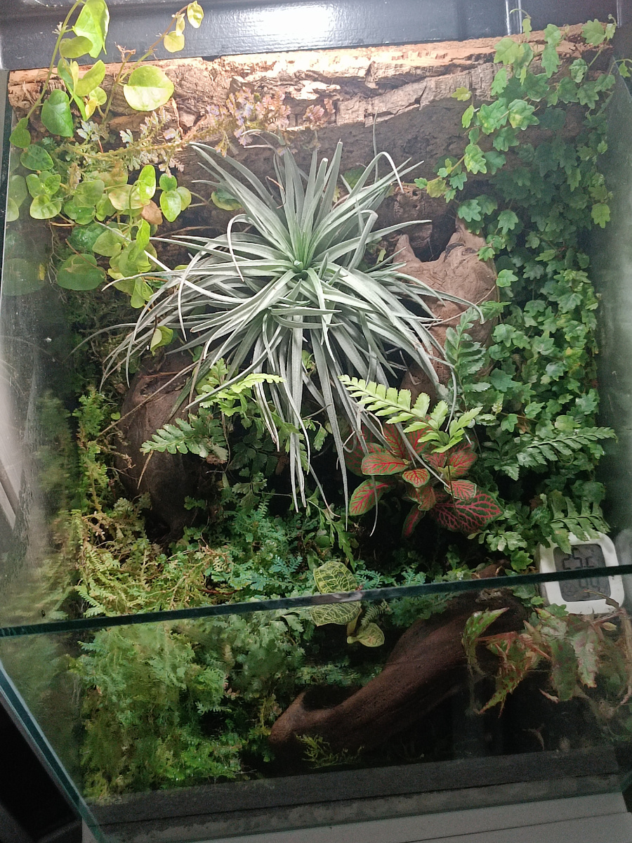 Все фото автора