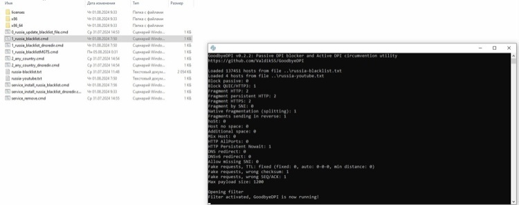 Так выглядит запущенная программа GoodbyeDPI