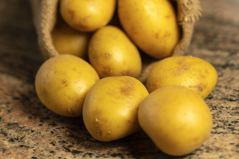    Фото: © IMAGO/Burkhard Schubert/www.imago-images.de/Globallookpress