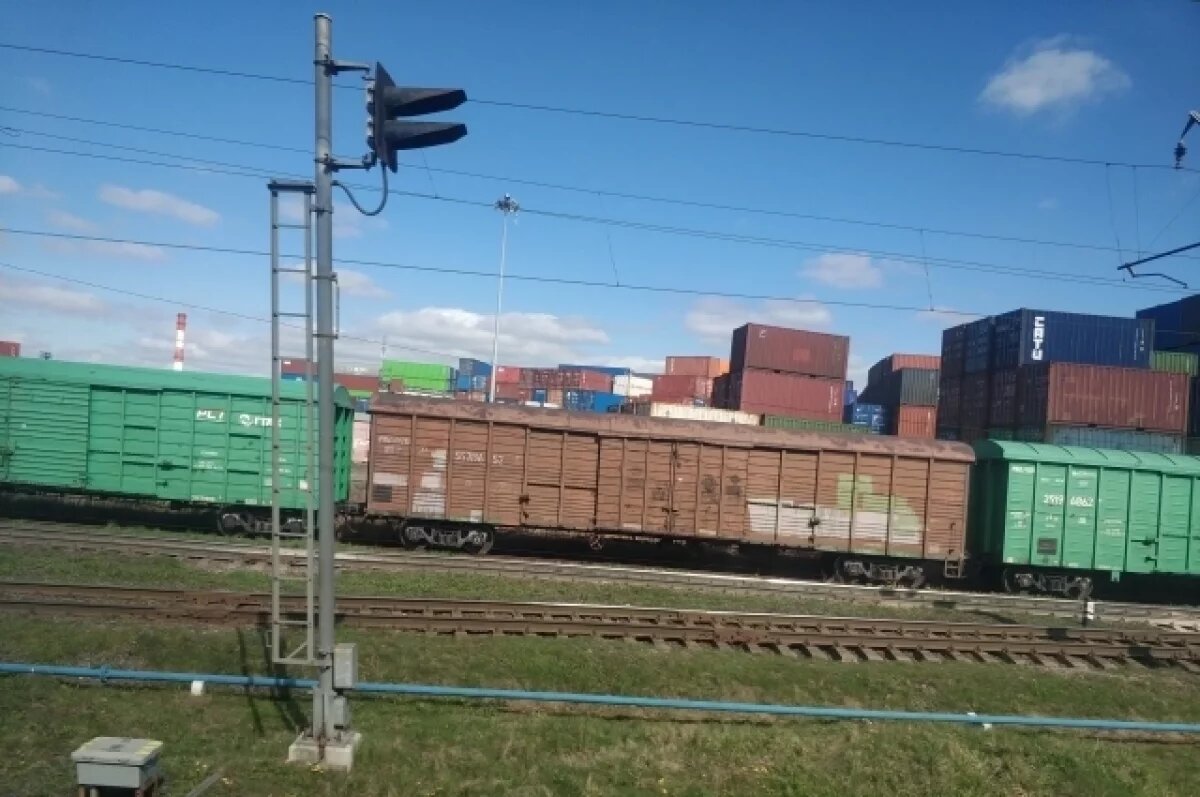    В Башкирии составитель поездов попал под движущиеся вагоны