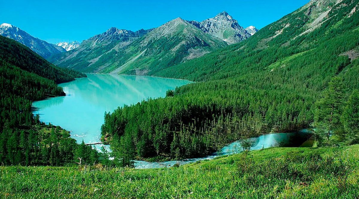 Природа Алтая