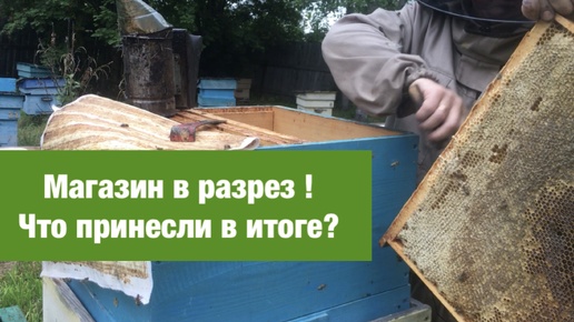 Магазин в разрез ! Что принесли в итоге?