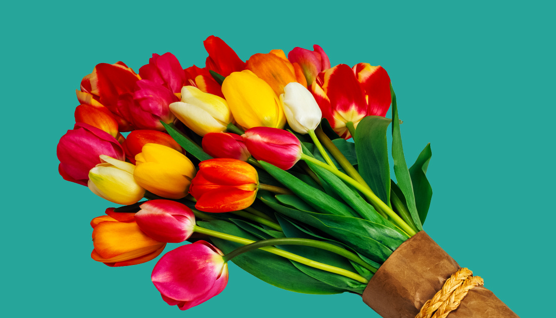 Как мы вырастили трафик и удержали интернет-магазин клиента в топе поиска при смене алгоритмов и росте конкуренции.