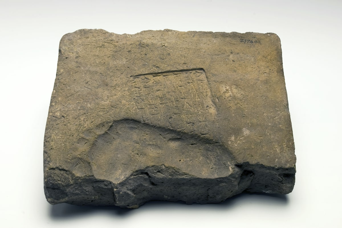 Музей антропологии и археологии Кембриджского университета.