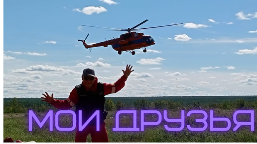 Мои друзья ...