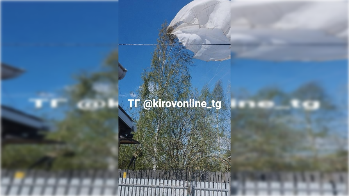 Фото: соцсети