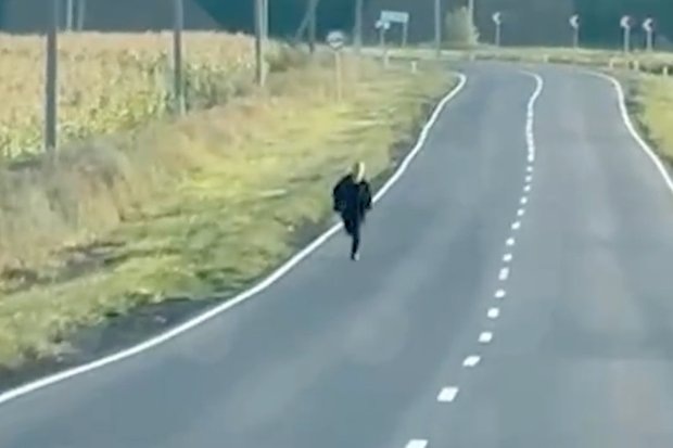    Кадр: Telegram-канал Mash