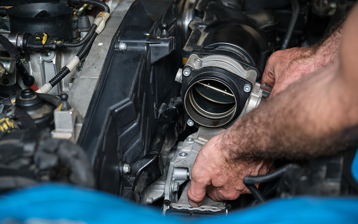    Ladanifer / Shutterstock / FOTODOM