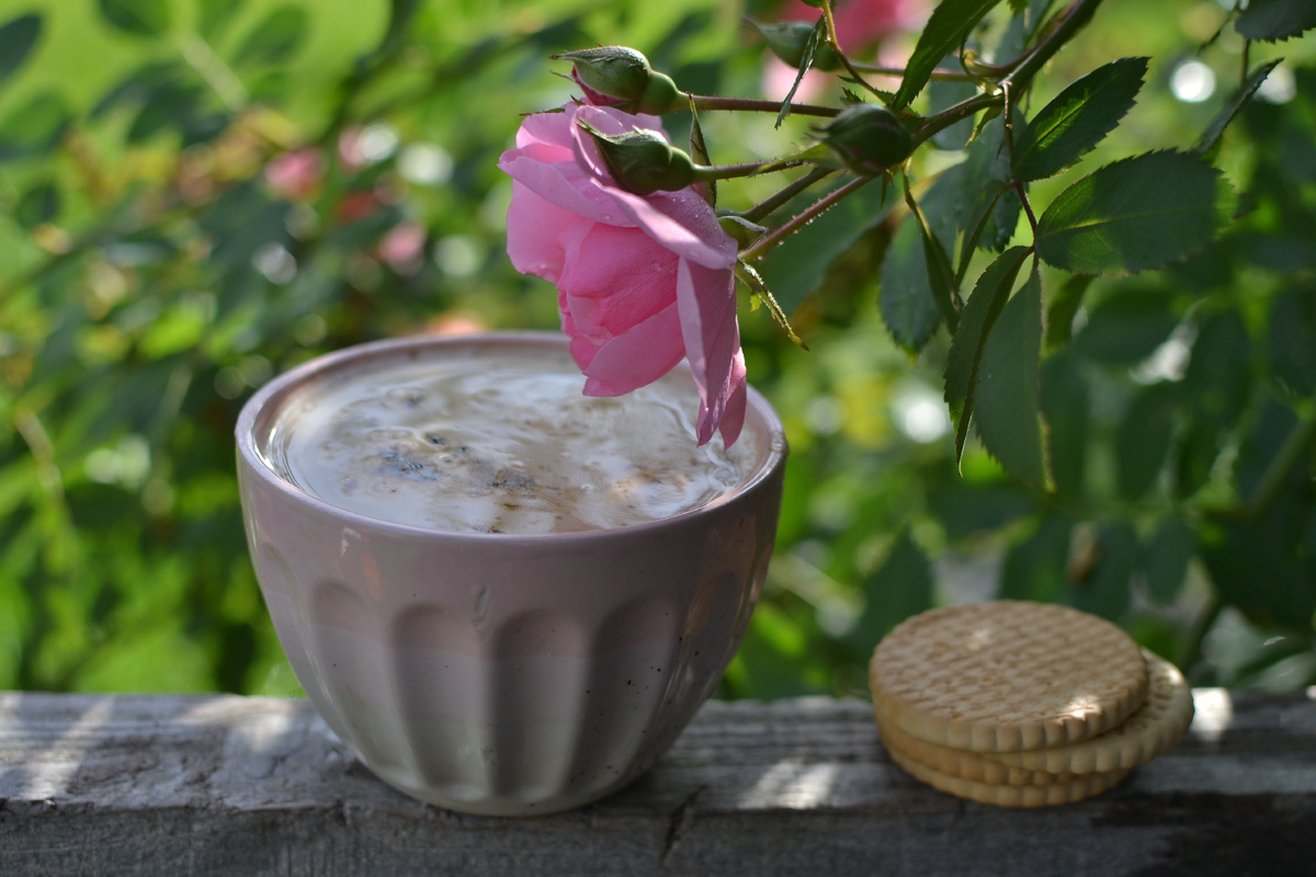 Заварю себе кофию, выйду на крыльцо, окину хозяйским взглядом сад... Хорошо!