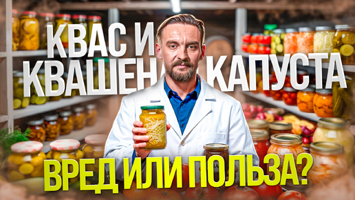 ПОЛЬЗА ФЕРМЕНТИРОВАННЫХ ПРОДУКТОВ: КАК ОНИ ВЫЖИВАЮТ В КИШЕЧНИКЕ