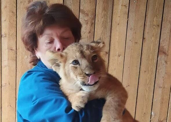    Фото: Минсельхоз Московской области