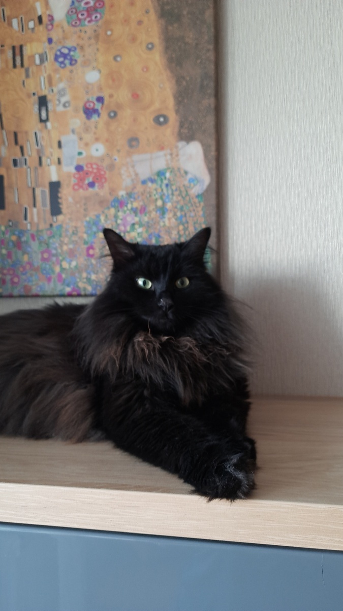 Сэм🥰