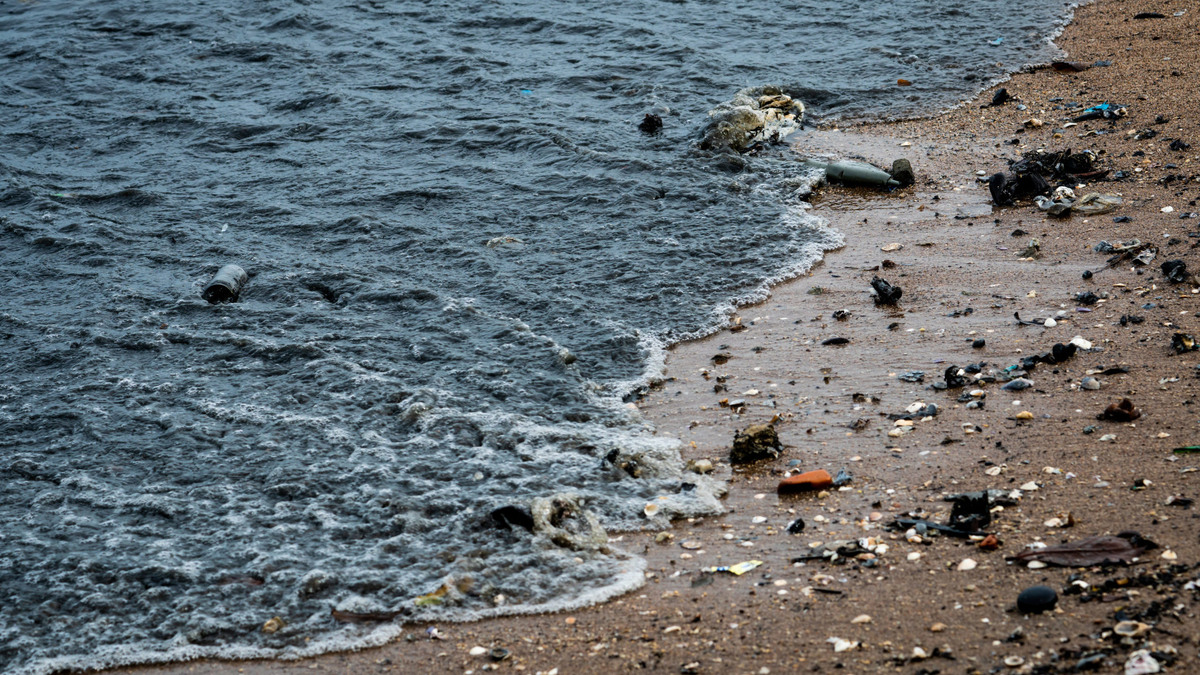 https://themedialine.org/wp-content/uploads/2021/02/beach-environment-pollution-oil-stains-beach-oil-leak-sea-dirty-water-ocean-water-pollution-harmful-animal-ocean-sea-environment-sewage-water-scaled-e1613914595601.jpg