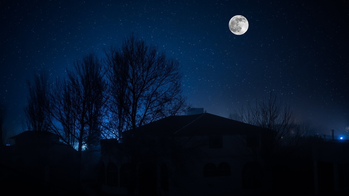    Фото: Shutterstock.com