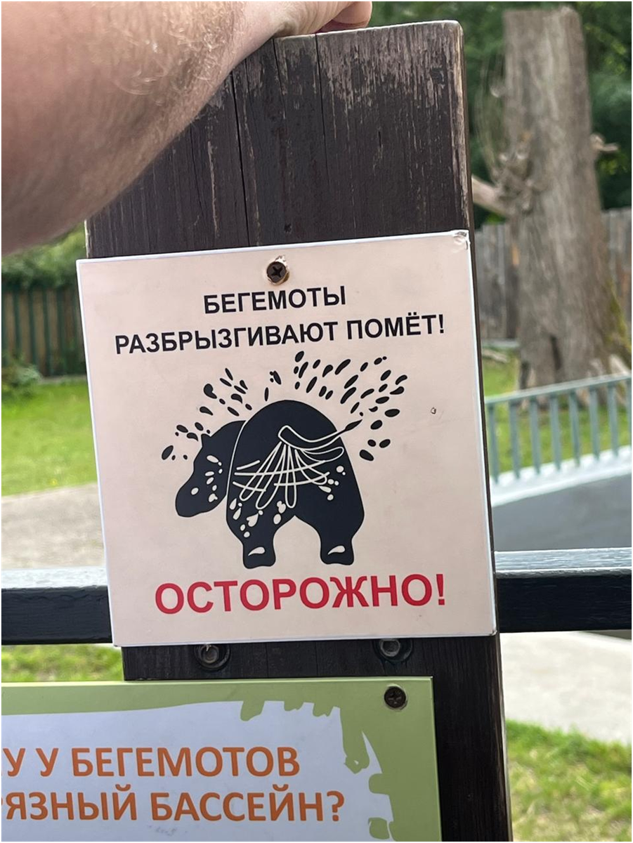 Зоопарк в т. Калининград. Фото Бобровкиной- Морковкиной.